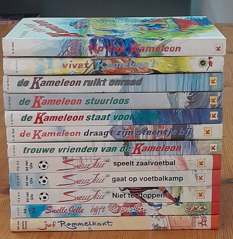 A set of 12 Dutch books for children