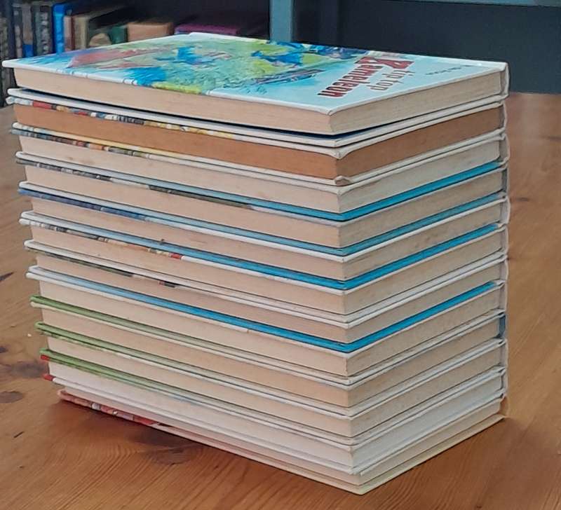 A set of 12 Dutch books for children