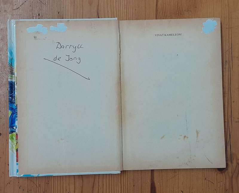 A set of 12 Dutch books for children