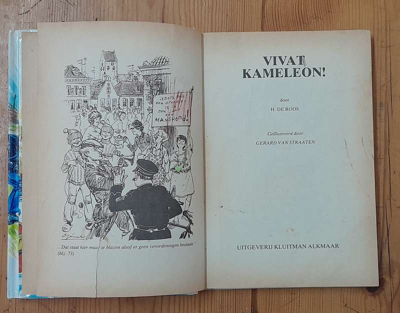 A set of 12 Dutch books for children