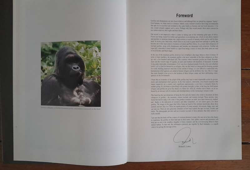 Gorillas