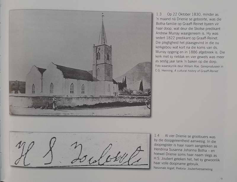 Vreeslose Drienie - by Celestine Pretorius