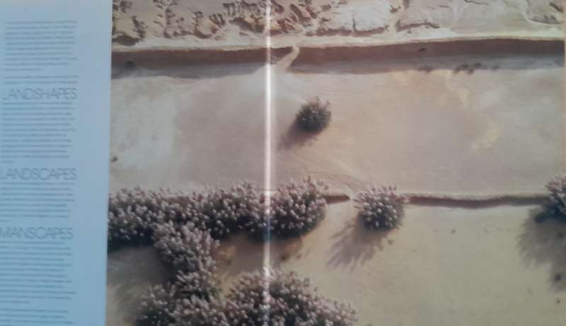 Herman Potgieter
