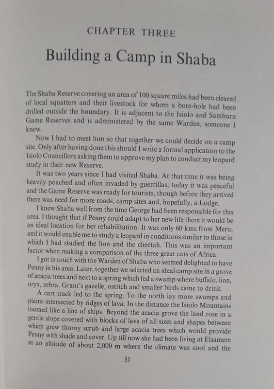 Queen of Shaba