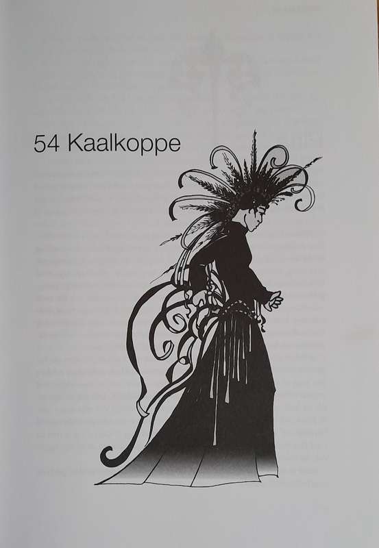 Kaalkop 3