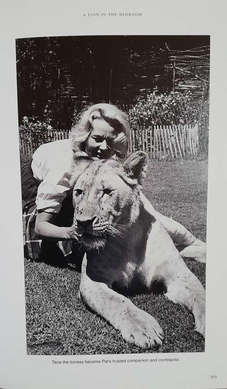 a loin in the bedroom