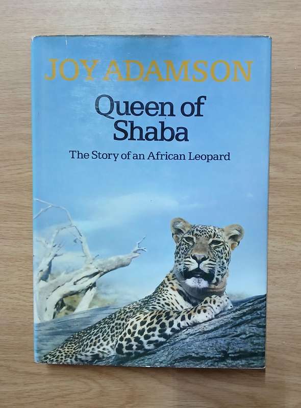 Queen of shaba