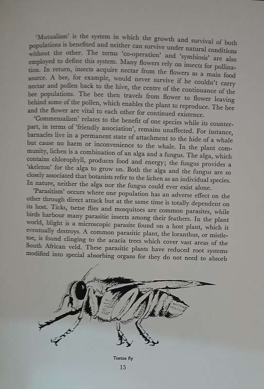 Walk Through The Wilderness - by Clive Walker & Don Richards