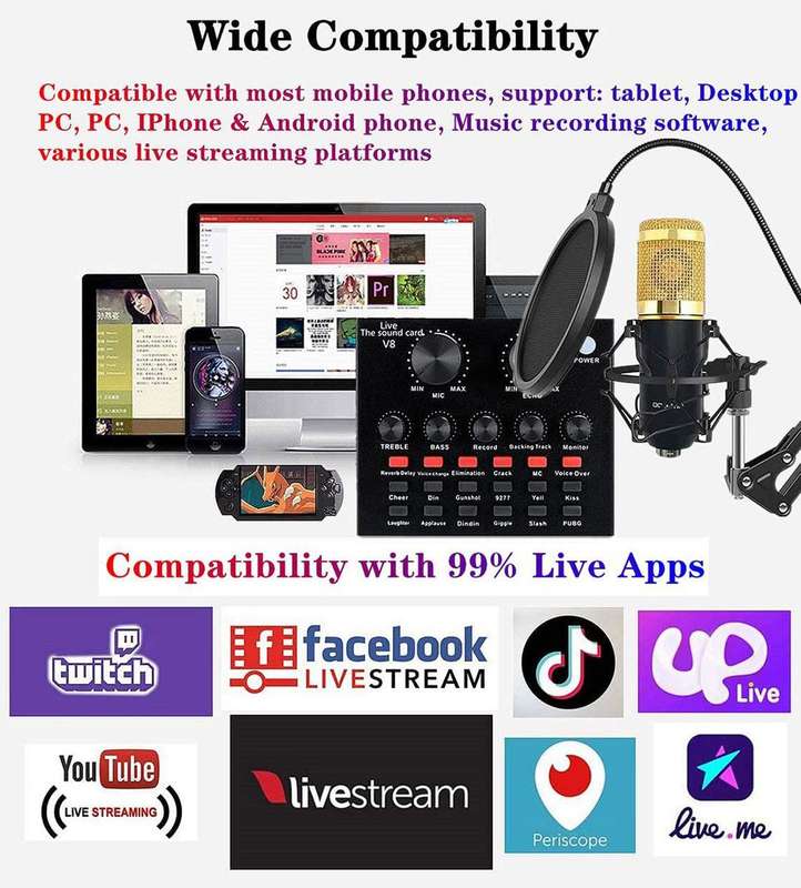 Podcast Equipment Bundle, Mic Kit with V8 Live Sound Card