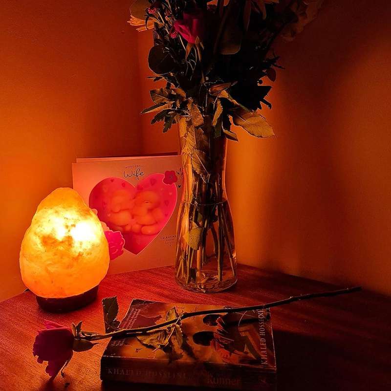 Natural Himalayan Crystal Salt Lamp Night Light Home Decor