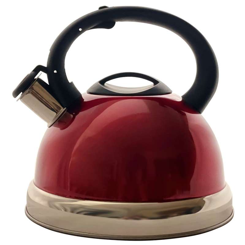 Multi Coloured Stainless Steel Whistling Kettle (3L Capacity)