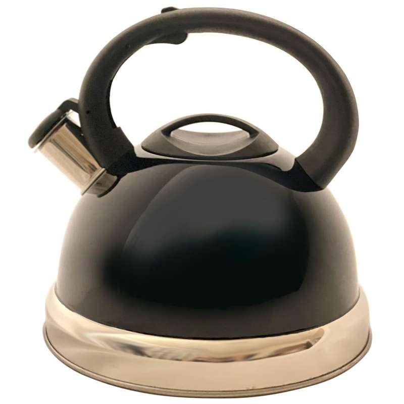 Multi Coloured Stainless Steel Whistling Kettle (3L Capacity)