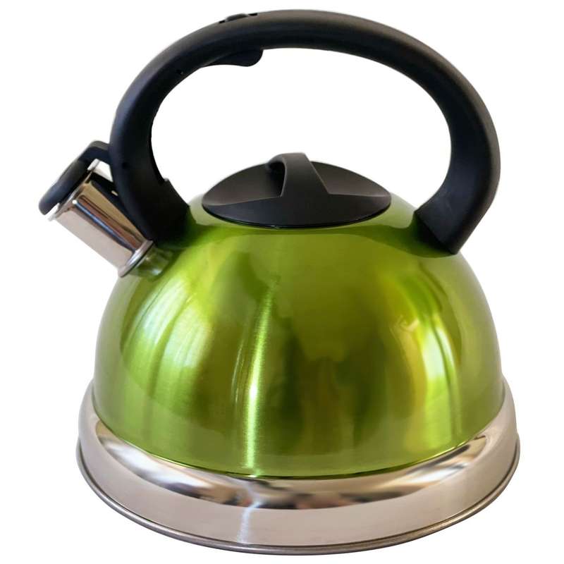 Multi Coloured Stainless Steel Whistling Kettle (3L Capacity)