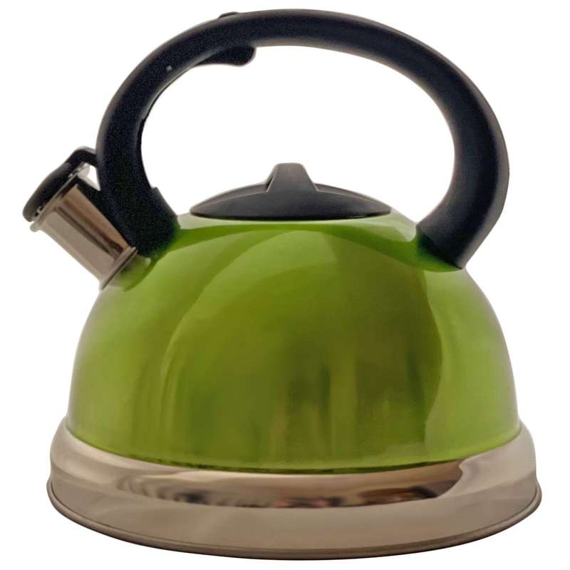 Multi Coloured Stainless Steel Whistling Kettle (3L Capacity)