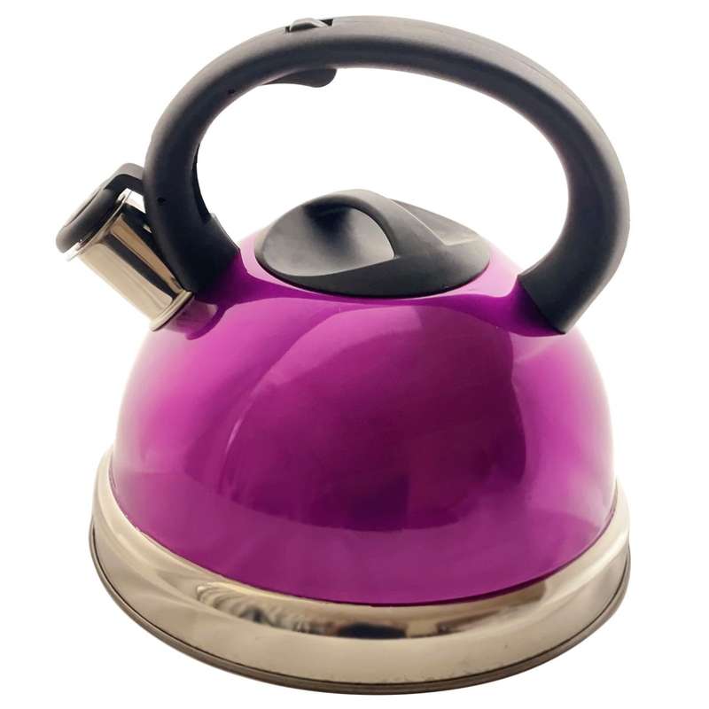 Multi Coloured Stainless Steel Whistling Kettle (3L Capacity)