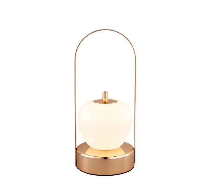 Portable Rechargeable LED Modern Table Lamp MLx1