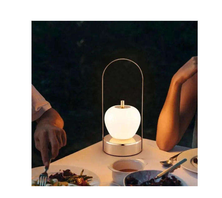 Portable Rechargeable LED Modern Table Lamp MLx1