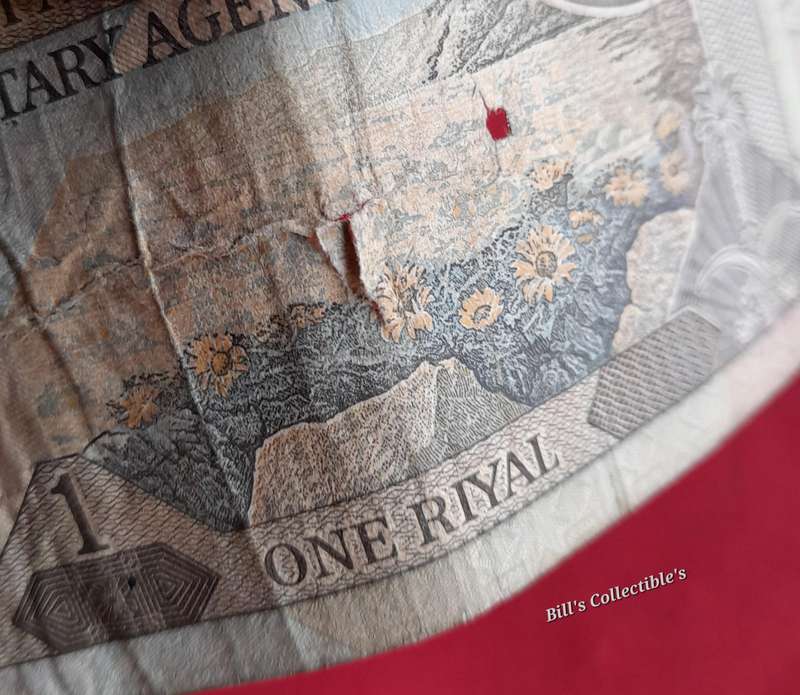 1 Riyal Banknote ( well used )