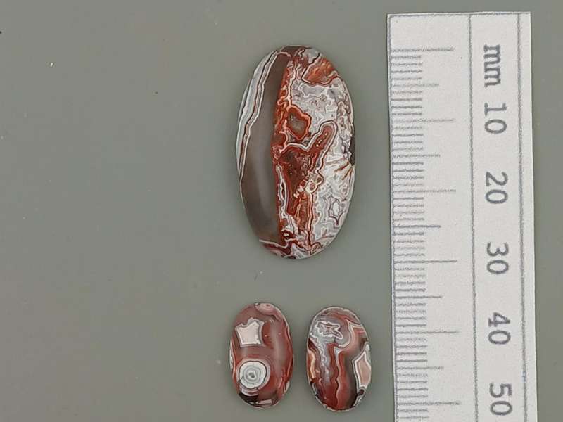 Rosetta stone cabochons from Mexico - Set of 3