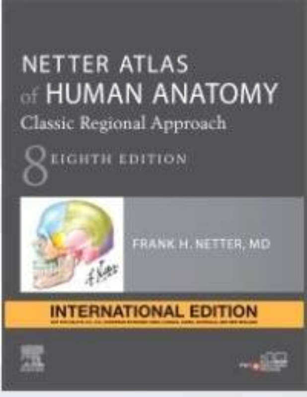 NETTER ATLAS OF HUMAN ANATOMY: CLASSIC REGIONAL APPROACH, INTERNATIONAL EDITION