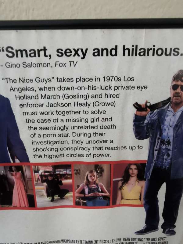 The Nice Guys on DVD
