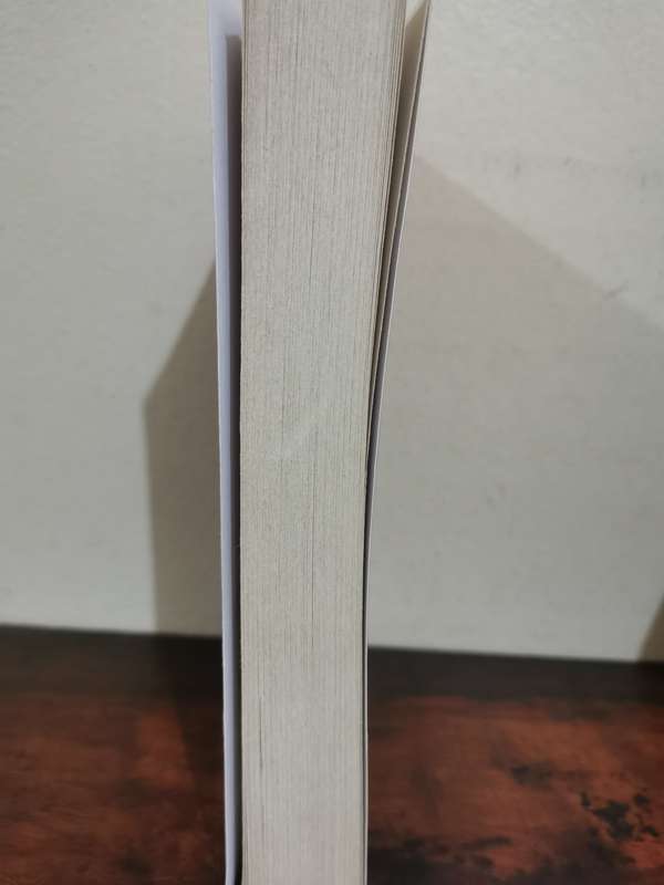 Beloved, novel by Toni Morrison