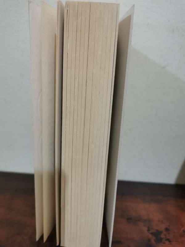 Omerta, novel by Mario Puzo