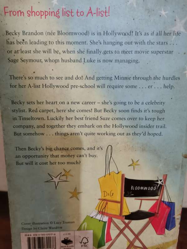 Shopaholic to the Stars, novel by Sophie Kinsella
