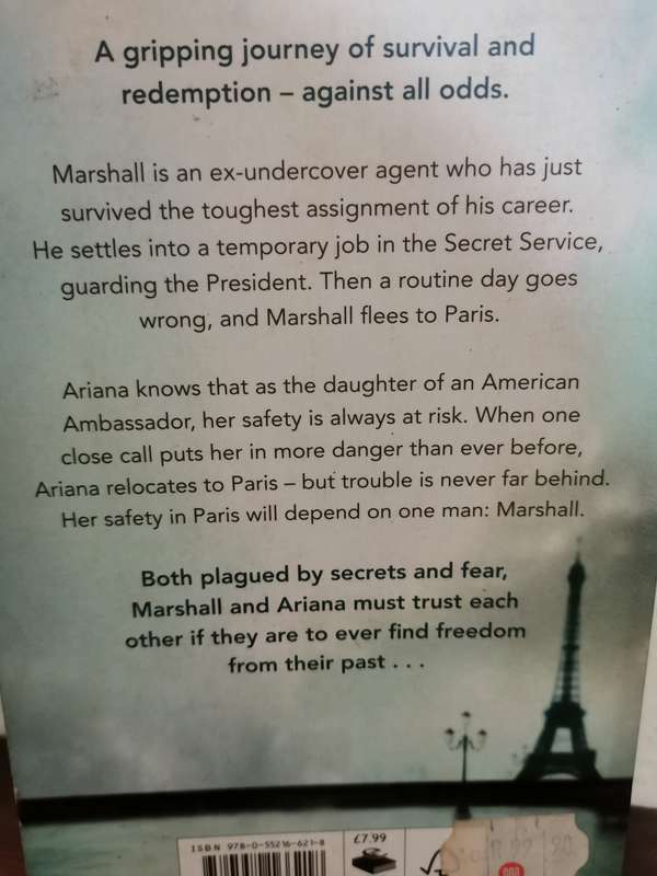 Undercover, novel by Danielle Steel