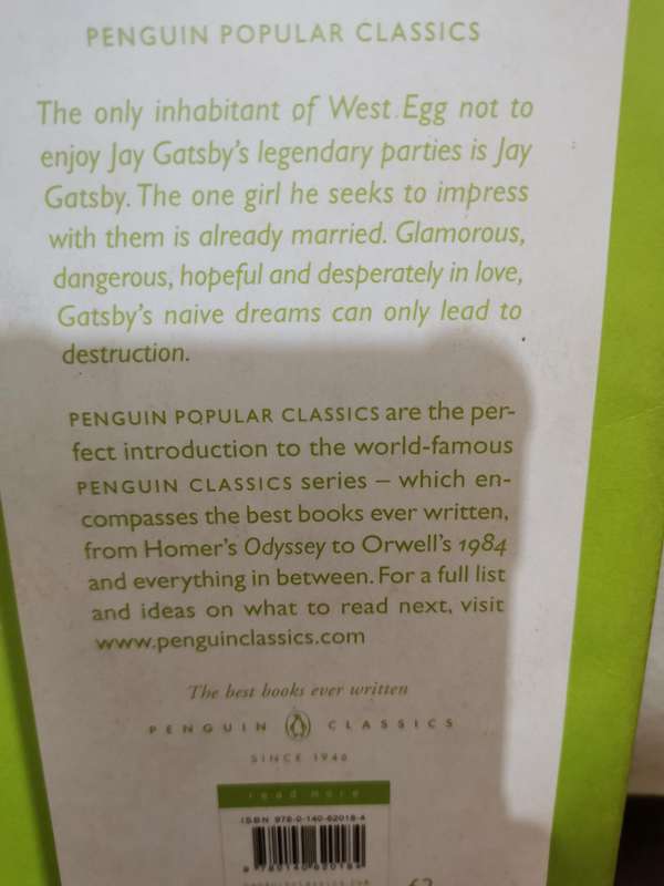 The Great Gatsby, novel by F Scott Fitzgerald