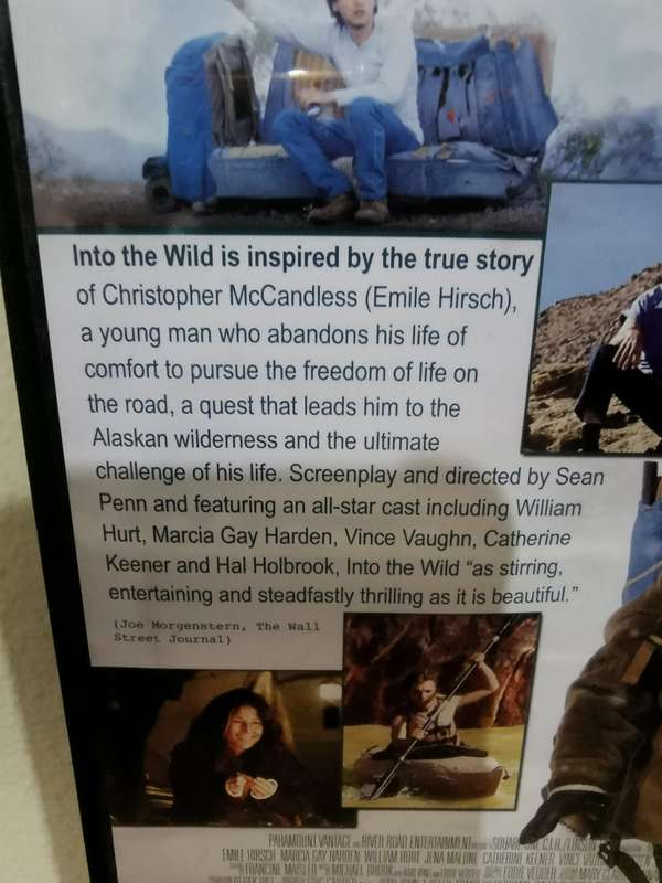 Into the Wild on DVD