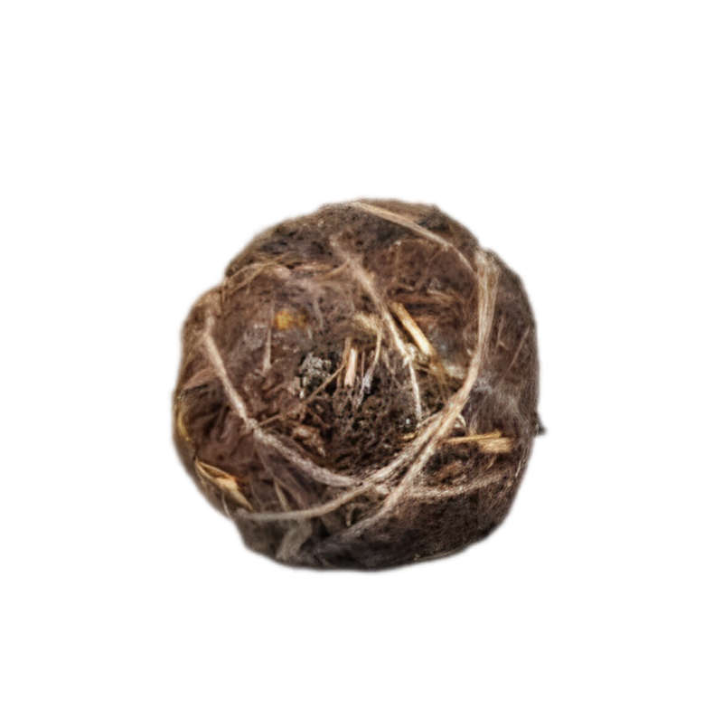 Great Balls of Fire | Unique Elephant Dung Firelighters