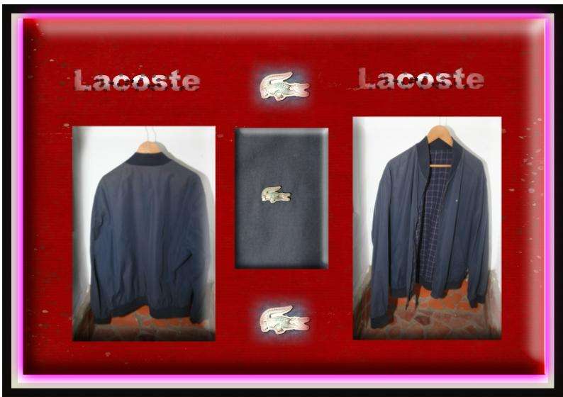 'Lacoste' Original Mens Reversable Sports Jacket.