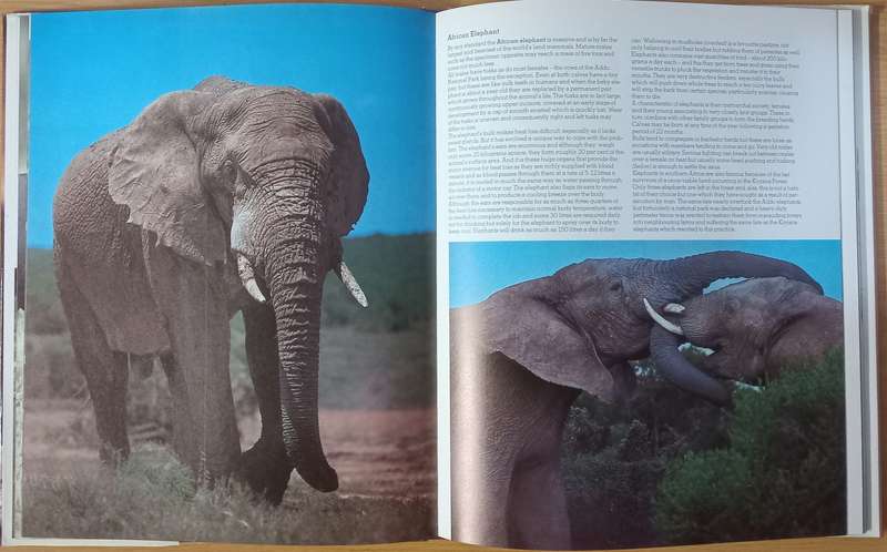 Anthony Bannister - Animals in the wild