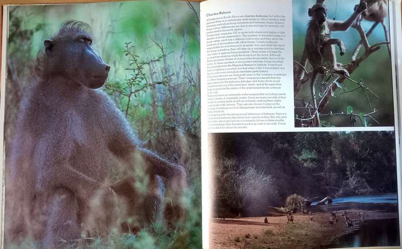 Anthony Bannister - Animals in the wild