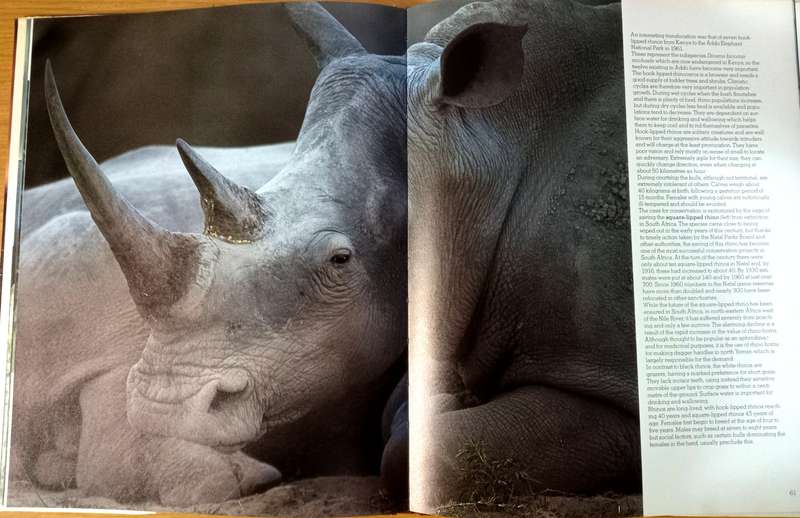 Anthony Bannister - Animals in the wild