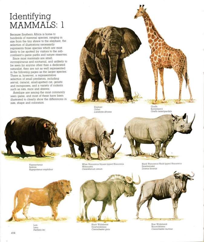 Reader's digest - Game parks & nature reserves in Southern Africa