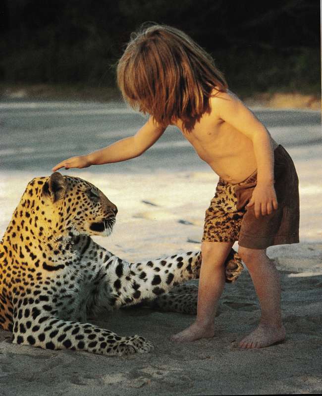 Tippi of Africa