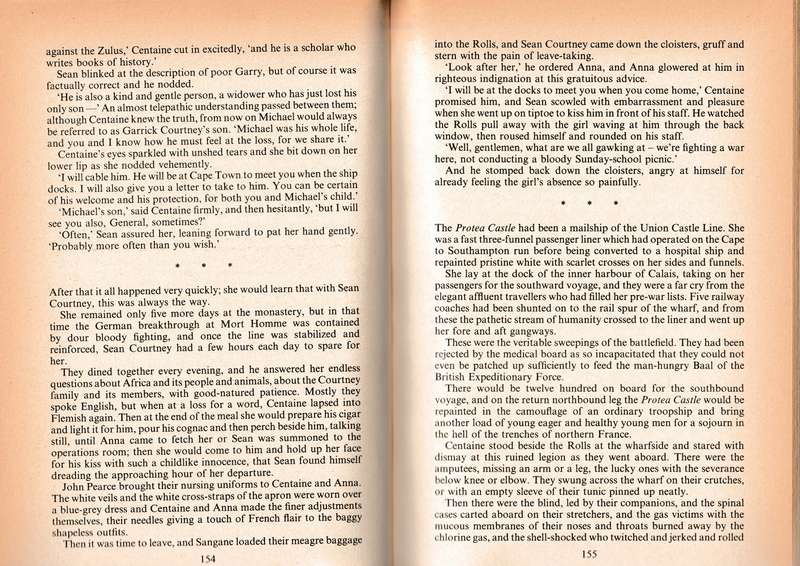 Wilbur Smith - The burning shore