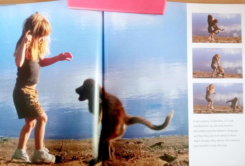 Tippi - TWO BOOKS