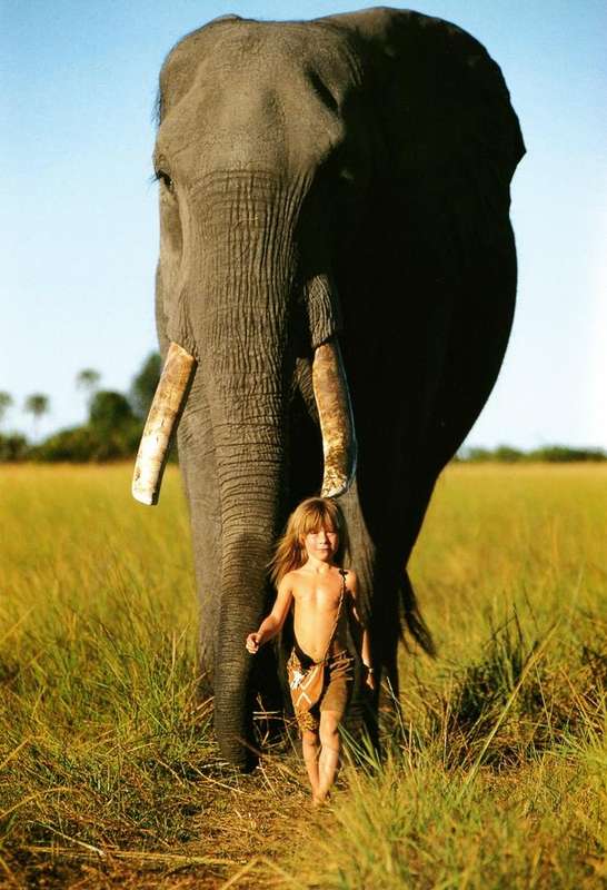 Tippi - TWO BOOKS