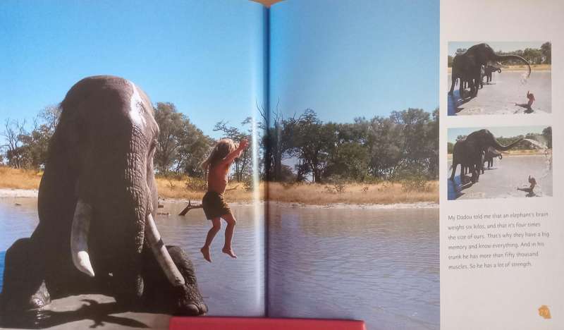 Tippi - TWO BOOKS