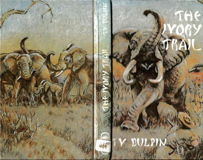 TV Bulpin - The ivory trail