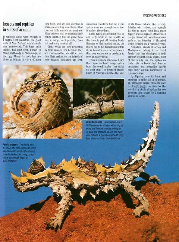 Exploring the secrets of nature