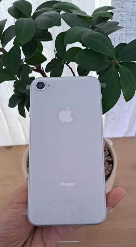 iPhone 8 - 256GB