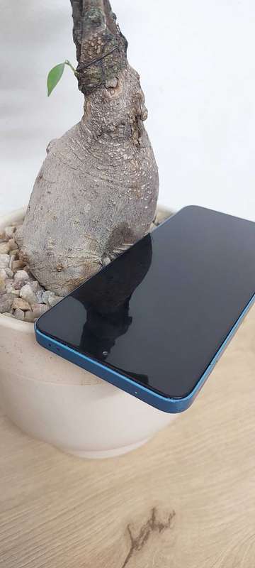 Honor 90 Lite