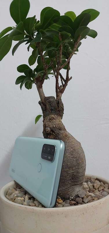 Oppo A53s