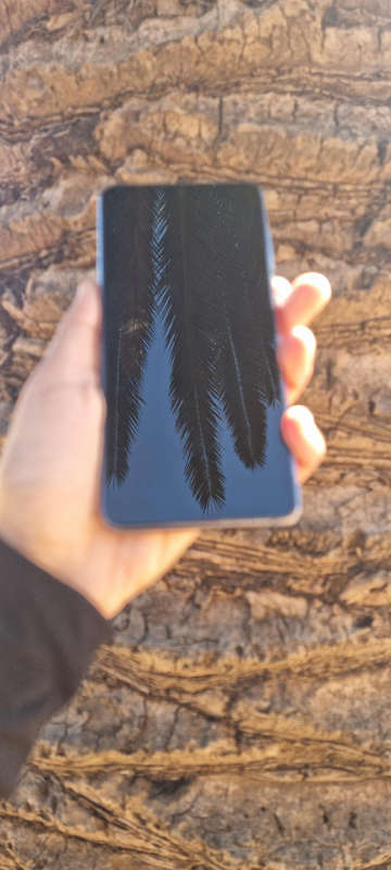 Samsung Galaxy S21