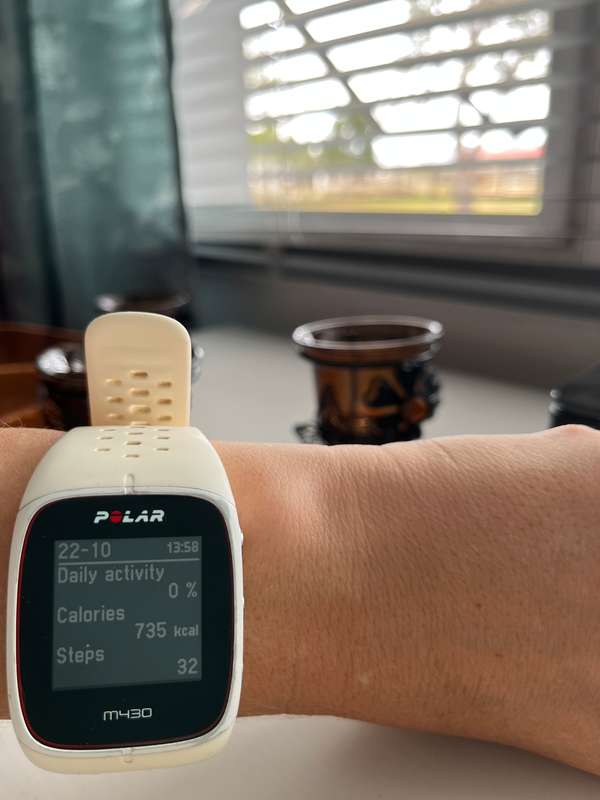 Polar M430 Watch