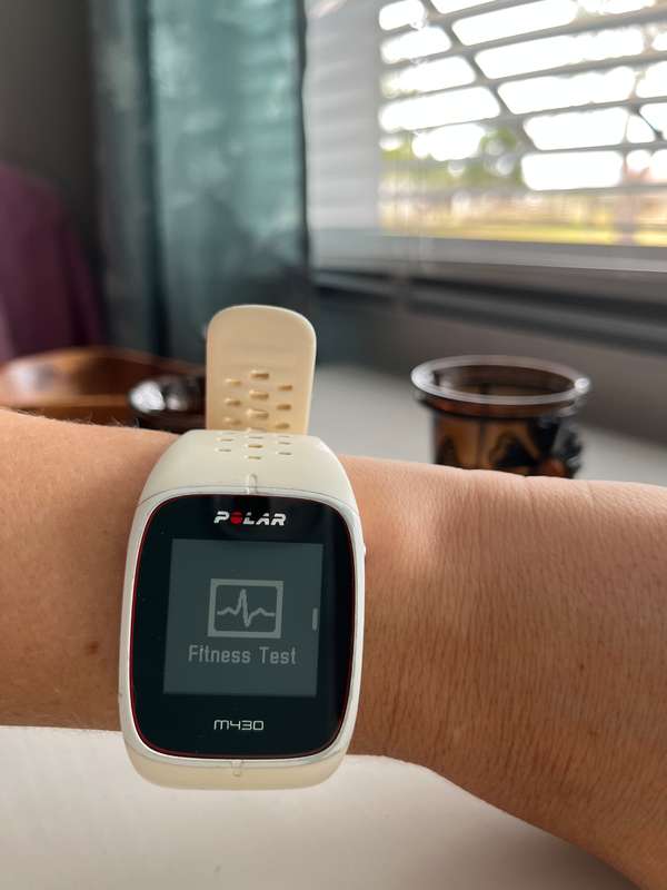 Polar M430 Watch